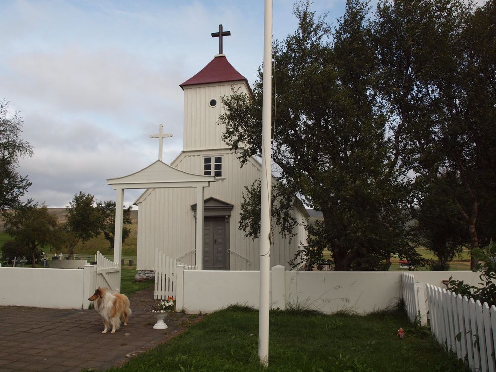 Mynd sem tengist textanum