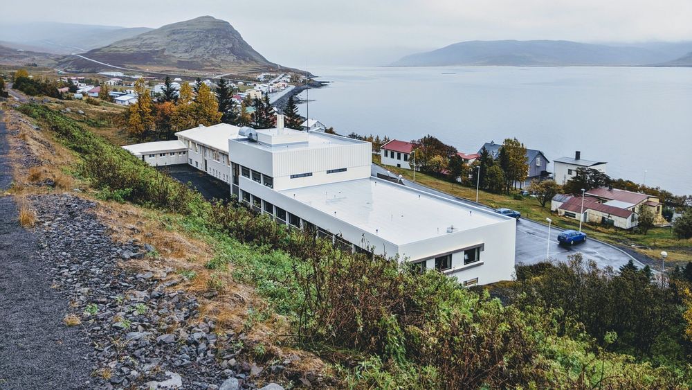 Mynd sem tengist textanum