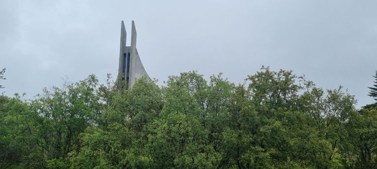 Mynd sem tengist textanum