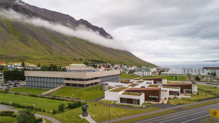 Mynd sem tengist textanum