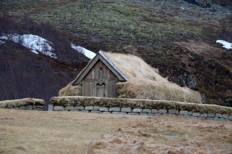 Mynd sem tengist textanum